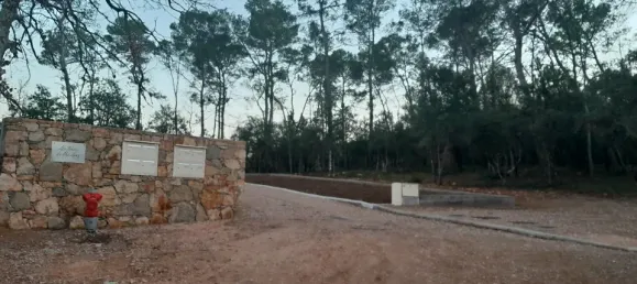 500m² Land in Le Thoronet, France No. 316701 2