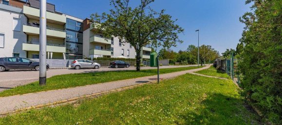 5-Zimmer Stadthaus in Hollabrunn, Austria, Nr. 79163 8