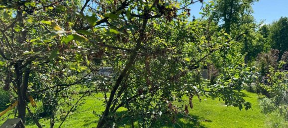 Ático de 5 habitaciónes en Potsdam, Germany No. 260853 16