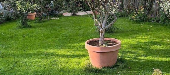 Ático de 5 habitaciónes en Potsdam, Germany No. 260853 17