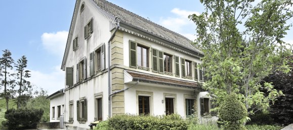 5 bedrooms House in Seppois-le-Bas, France No. 61511 14