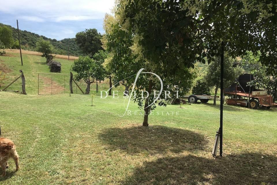  قطعة أرض في Cinigiano, Italy 170متر مربع رقم 40074