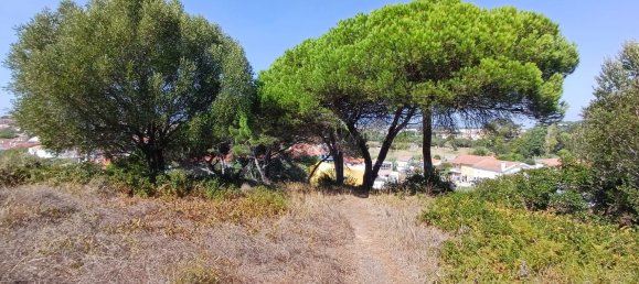 2 غرف نوم منزل في Cascais, Portugal رقم 134506 25