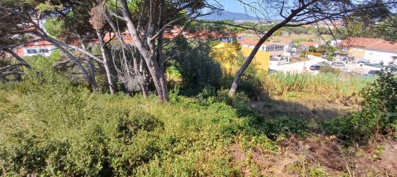 2 غرف نوم منزل في Cascais, Portugal رقم 134506 14