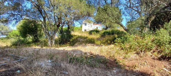 2 غرف نوم منزل في Cascais, Portugal رقم 134506 17