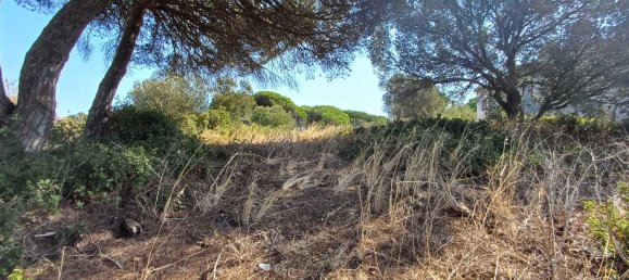 2 غرف نوم منزل في Cascais, Portugal رقم 134506 26