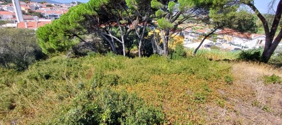 2 غرف نوم منزل في Cascais, Portugal رقم 134506 22