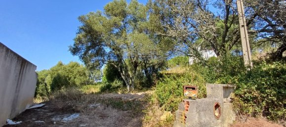 2 غرف نوم منزل في Cascais, Portugal رقم 134506 18