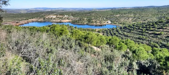 11 bedrooms House in Mertola, Portugal No. 44014 14