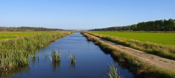 6 bedrooms Land in Alcacer do Sal, Portugal No. 273088 7