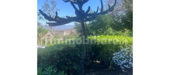 4-salle Villa à Palma Campania, Italy No. 317421 3