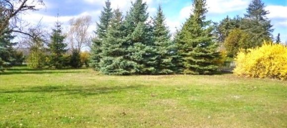 3 Schlafzimmer Stadthaus in Leipzig, Germany, Nr. 294865 4