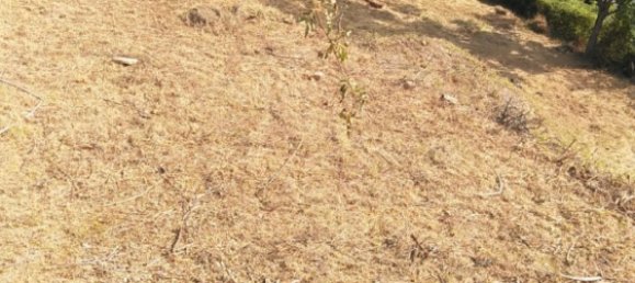 Terreno em Biescas, Spain 660 m² N.º 68122 32