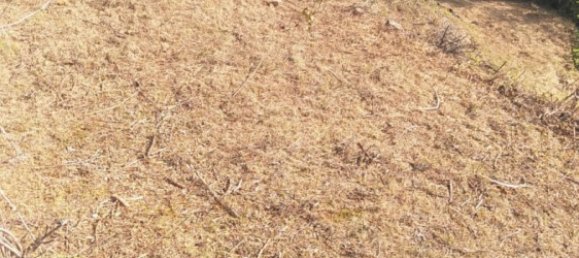 Terreno em Biescas, Spain 660 m² N.º 68122 30