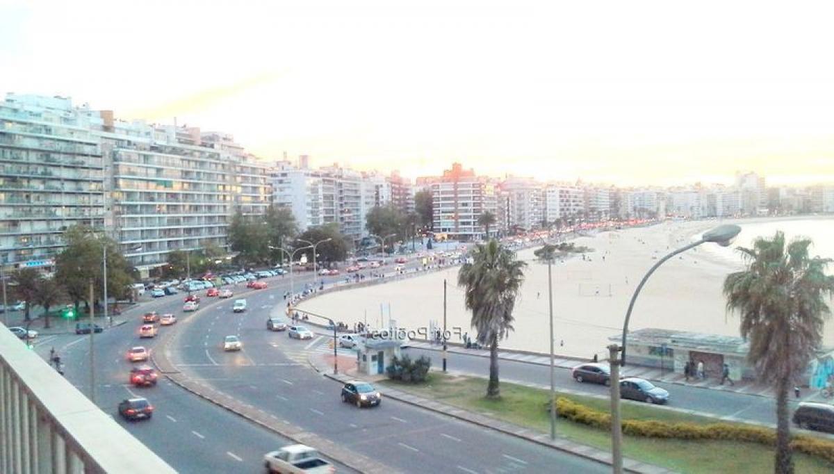 3 غرف نوم شقة في Montevideo, Uruguay رقم 1666