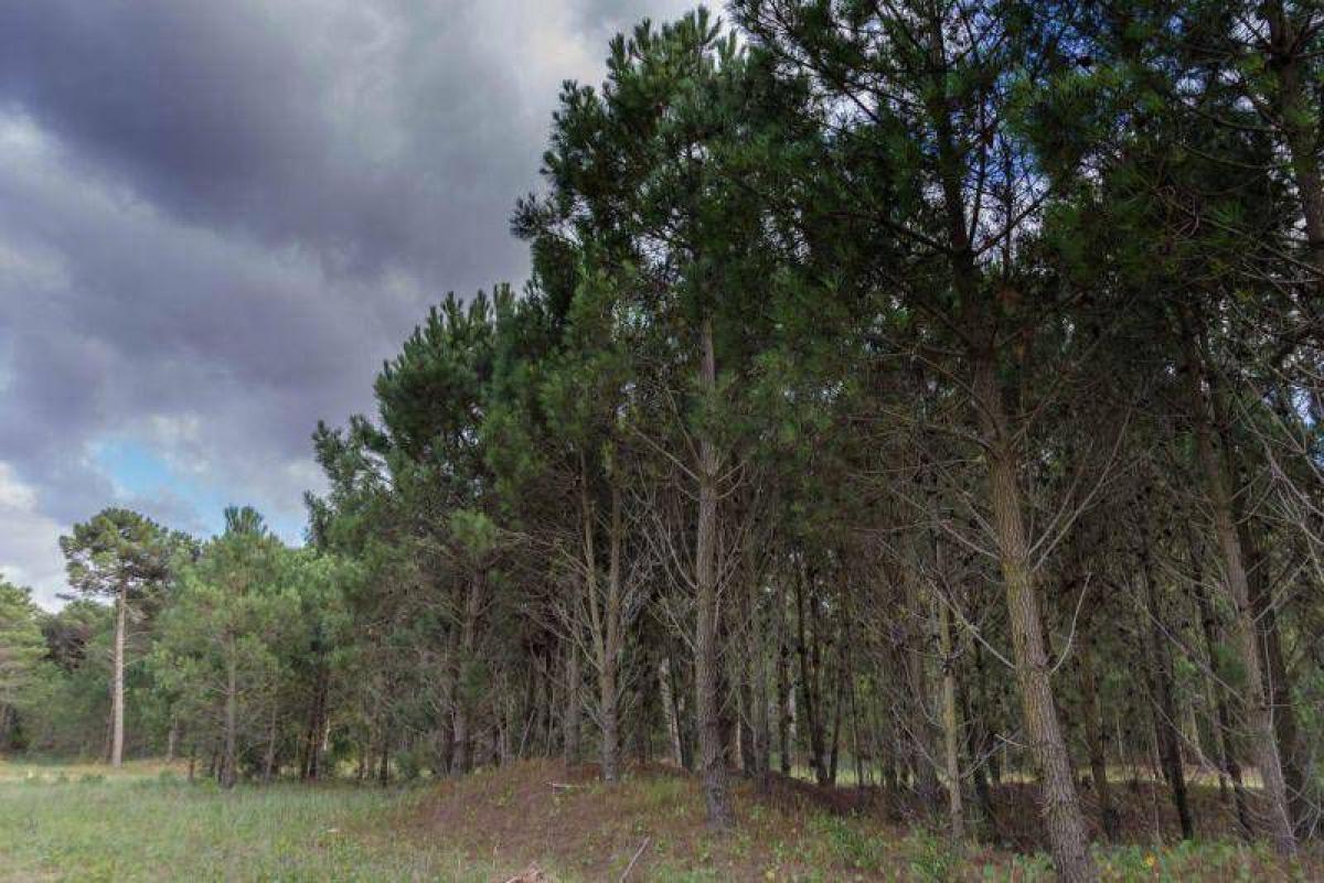  قطعة أرض في Mar del Plata, Argentina رقم 119809