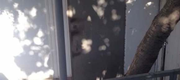 Escritório de 3 divisões em Baku, Azerbaijan N.º 1060 2