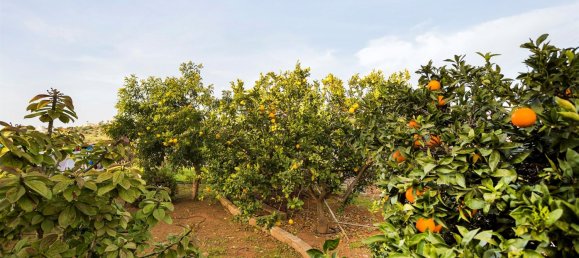 5 bedrooms House in Albufeira, Portugal No. 182310 37