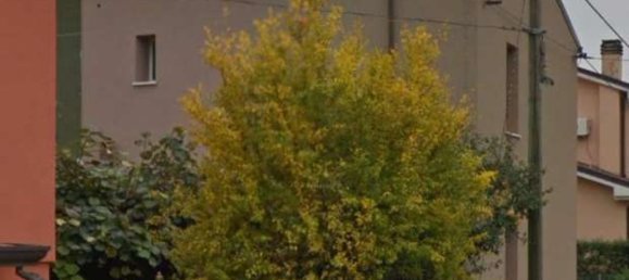 5 rooms House in Albignasego, Italy No. 221431 16