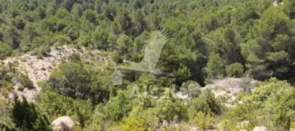 Grundstück in Logrono, Spain 3228m², Nr. 145682 18