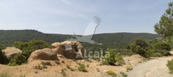 Grundstück in Logrono, Spain 3228m², Nr. 145682 13