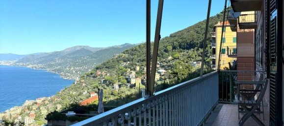 5 rooms Apartment in Camogli, Italy No. 132509 38