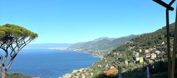 5 rooms Apartment in Camogli, Italy No. 132509 3