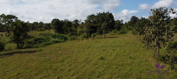  Land in Mae Taeng, Thailand No. 5208 9