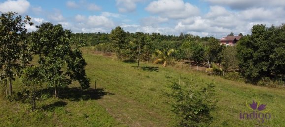  Land in Mae Taeng, Thailand No. 5208 8