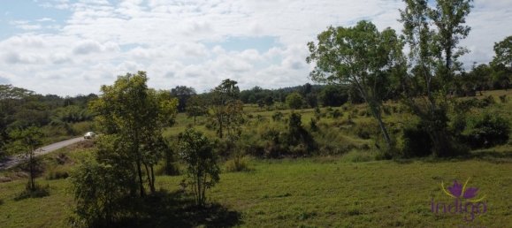  Land in Mae Taeng, Thailand No. 5208 10