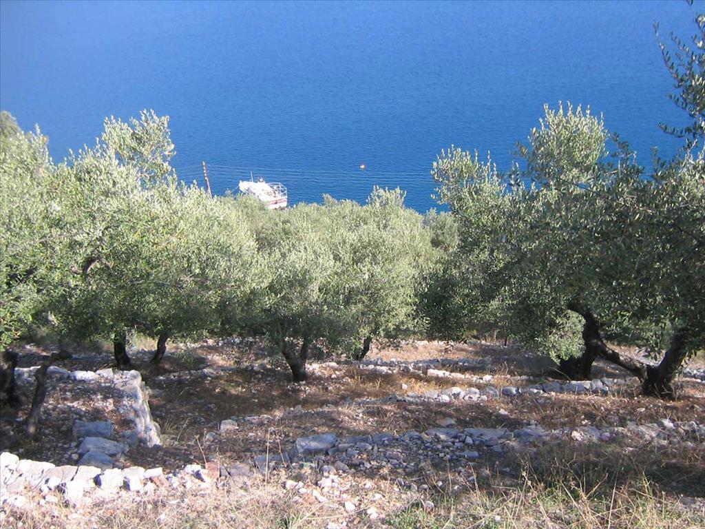 580 m² hotel en venta en Ithaca, Corfu, Ionian Islands, Peloponnese, Western Greece and the Ionian, Greece № 7757