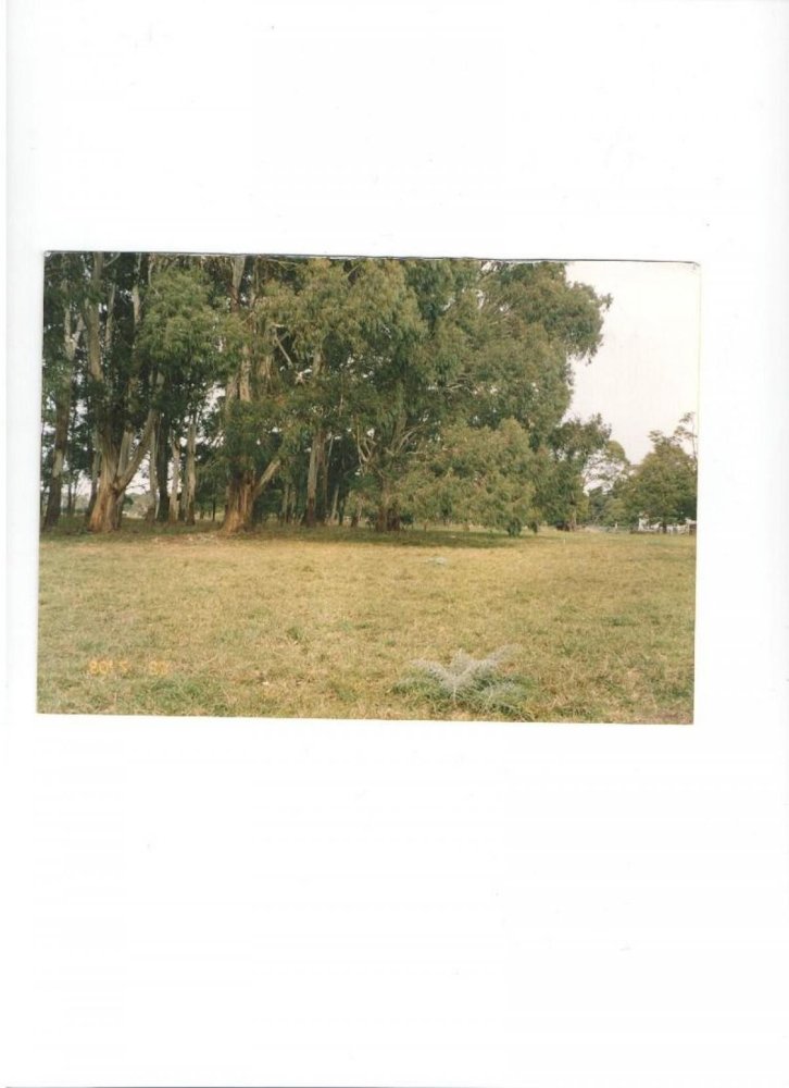  قطعة أرض في Mar del Plata, Argentina رقم 112501