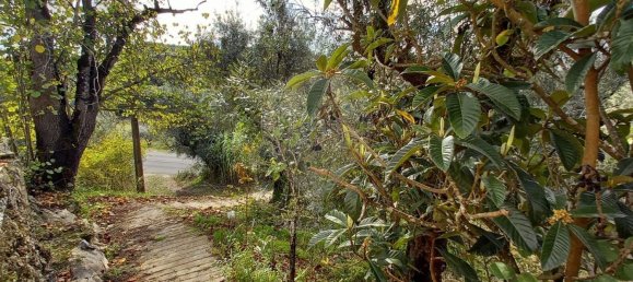 1 bedroom House in Tomar, Portugal No. 184061 3