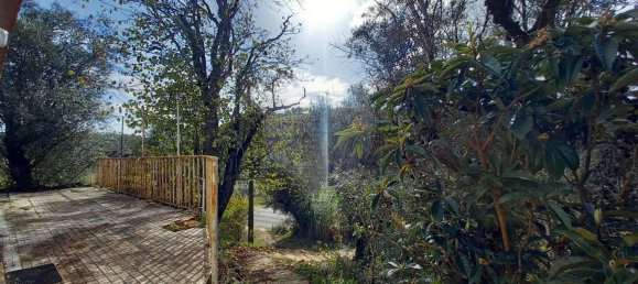 1 bedroom House in Tomar, Portugal No. 184061 17