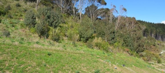 4130m² Land in Waikanae, New Zealand No. 178 2