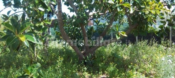 3غرفة فيلا في Marsala, Italy رقم 48815 13