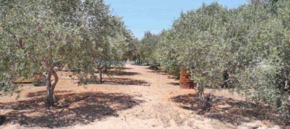 5 bedrooms House in Deryneia, Cyprus No. 23864 20