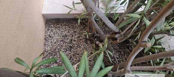 3-salle Appartement à Rimini, Italy No. 26666 30