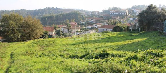 Grundstück in Lousada, Portugal 7450m², Nr. 13263 7