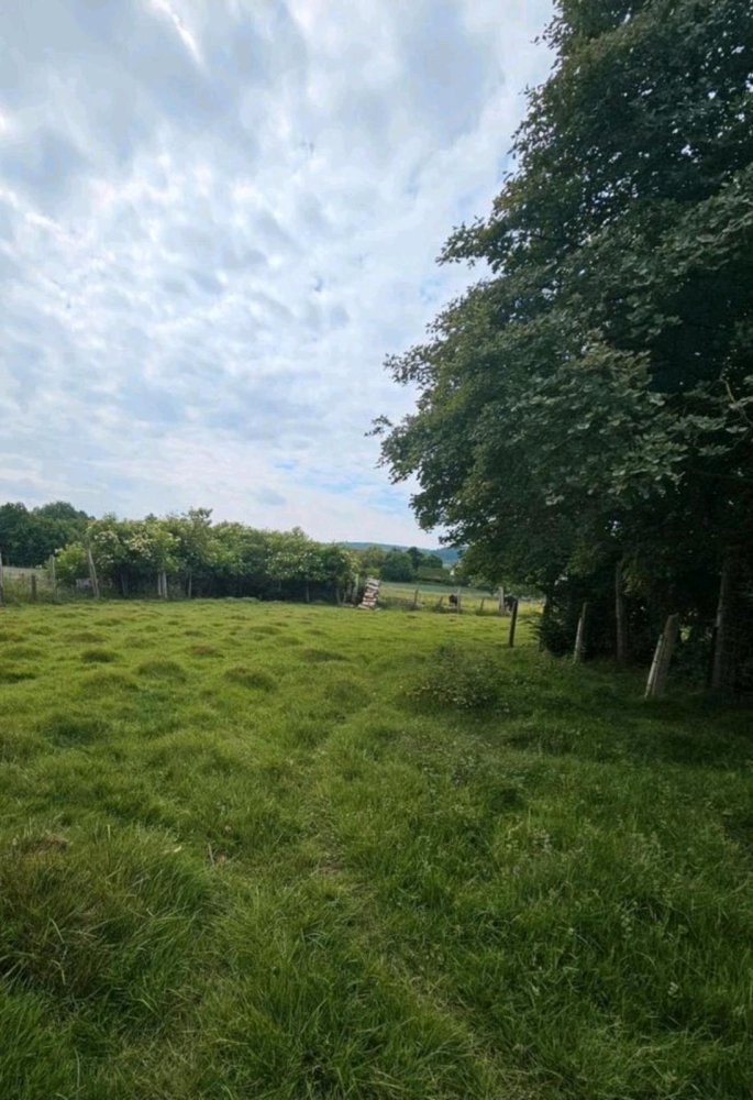 Terrain à Hameln-Pyrmont, Germany No. 256148