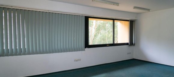 331m² Commercial property in Nicosia, Cyprus No. 13223 11