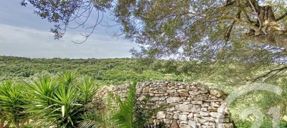 5 bedrooms Villa in Bonifacio, France No. 274179 2