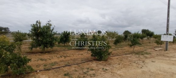 1 chambre Maison à Guia, Portugal No. 10064 2