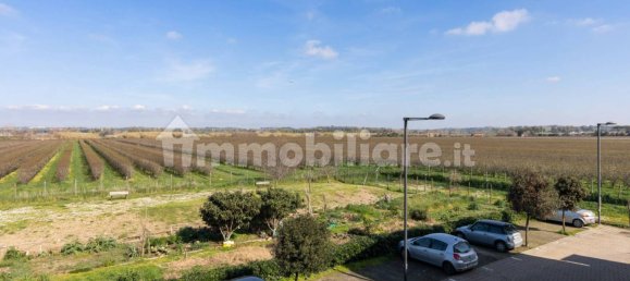 Apartamento de 1 dormitorio en Fiumicino, Italy No. 161068 24