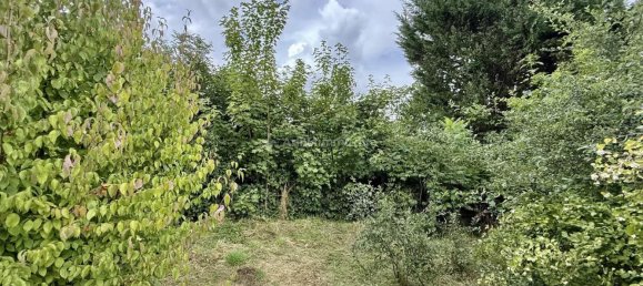 4 bedrooms House in Andelot-Blancheville, France No. 301509 21