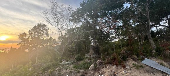  Commercial property in Surat Thani, Thailand No. 20500 7