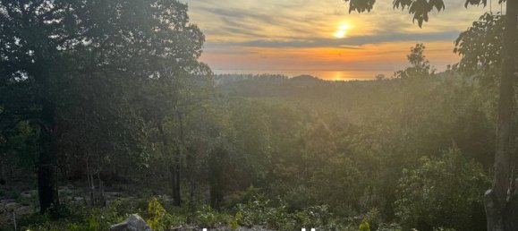  Commercial property in Surat Thani, Thailand No. 20500 3