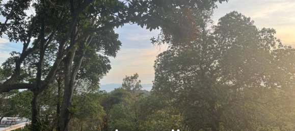  Commercial property in Surat Thani, Thailand No. 20500 5