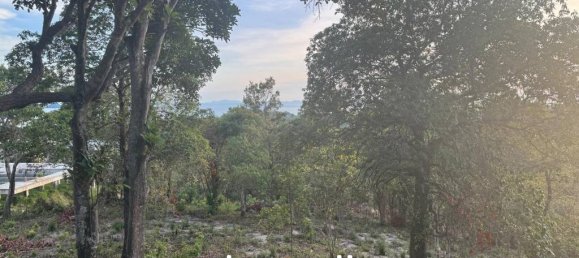  Commercial property in Surat Thani, Thailand No. 20500 8