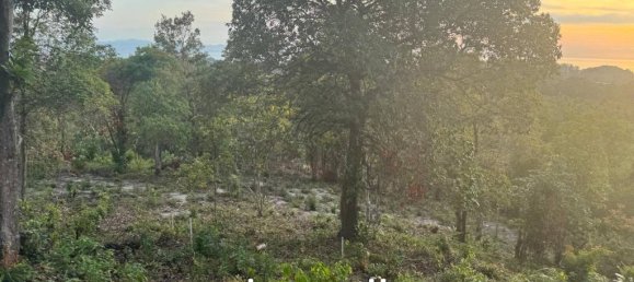  Commercial property in Surat Thani, Thailand No. 20500 6